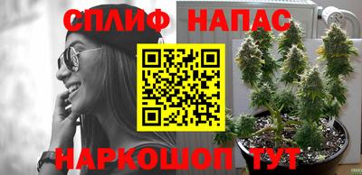 ГАЛЛЮЦИНОГЕННЫЕ ГРИБЫ Гусиноозёрск
