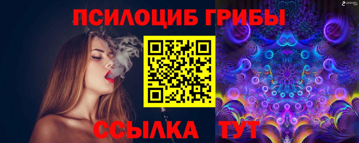 Муравленко  Галлюциногенные грибы Psilocybe  Псилоцибиновые грибы Psilocybine cubensis  Вход с VPN 