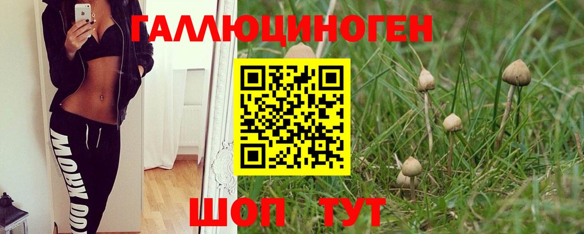Галлюциногенные грибы мицелий Муравленко